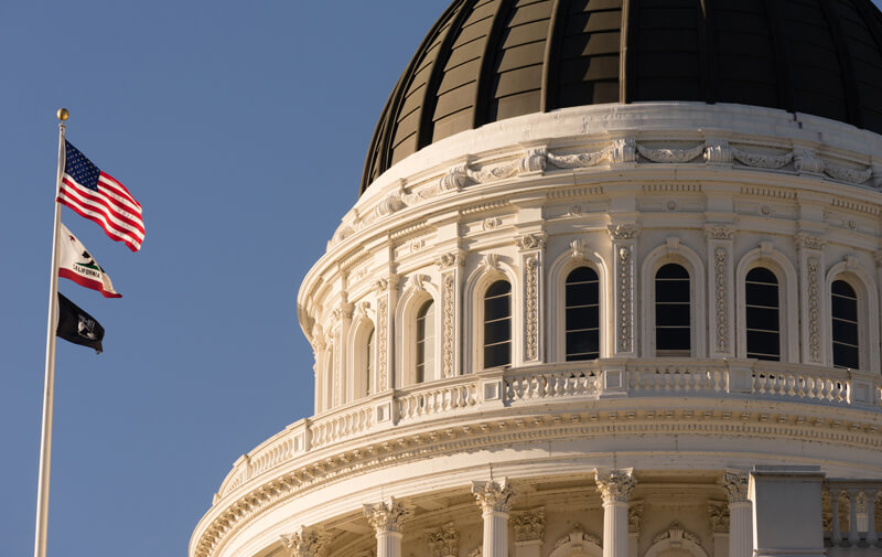 Legislation, Budget Hearings and Advocacy!