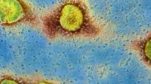 Facts About the Coronavirus