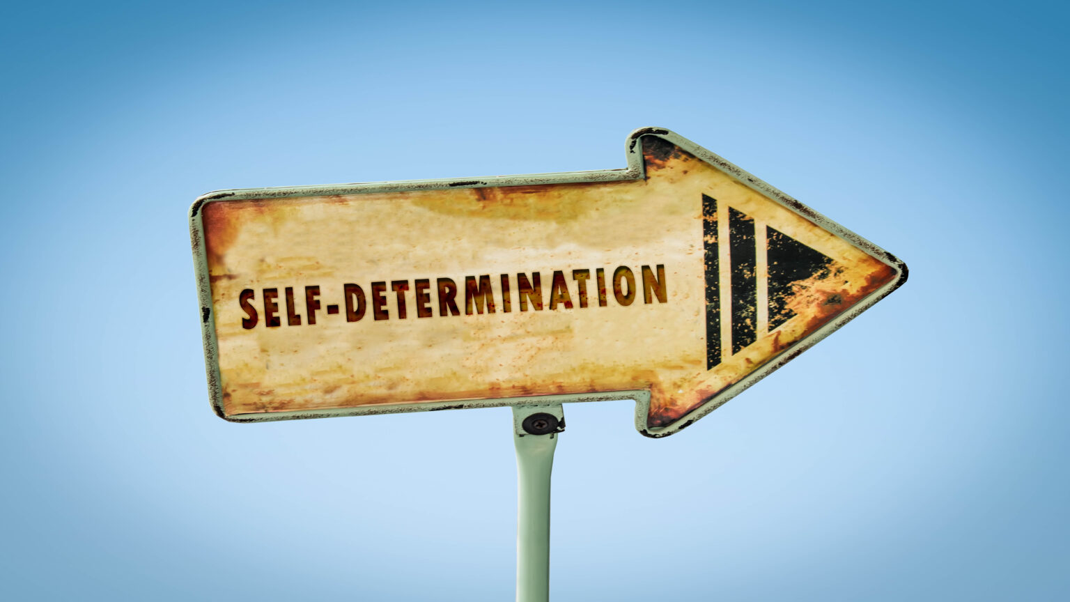 what-is-self-determination-self-determination