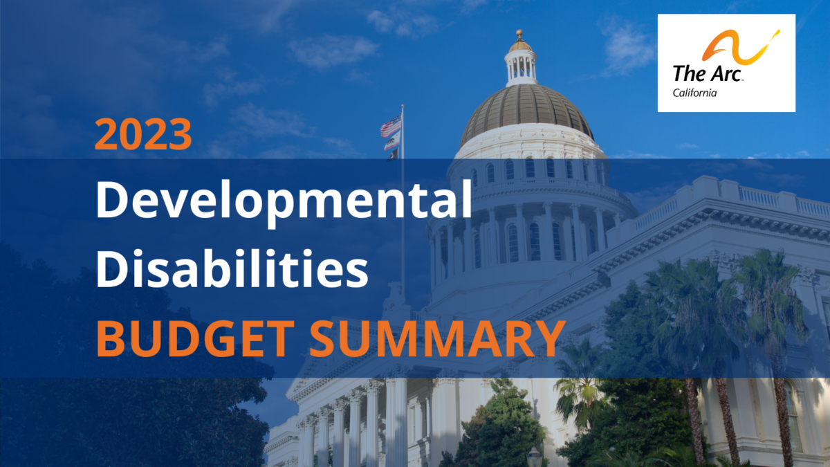 2023 Developmental Disabilities Budget Summary