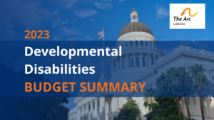 2023 Developmental Disabilities Budget Summary