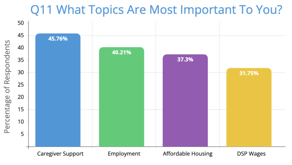 Chart showing 45% of respondents thought the top priority for IDD Community is Support for Caregivers