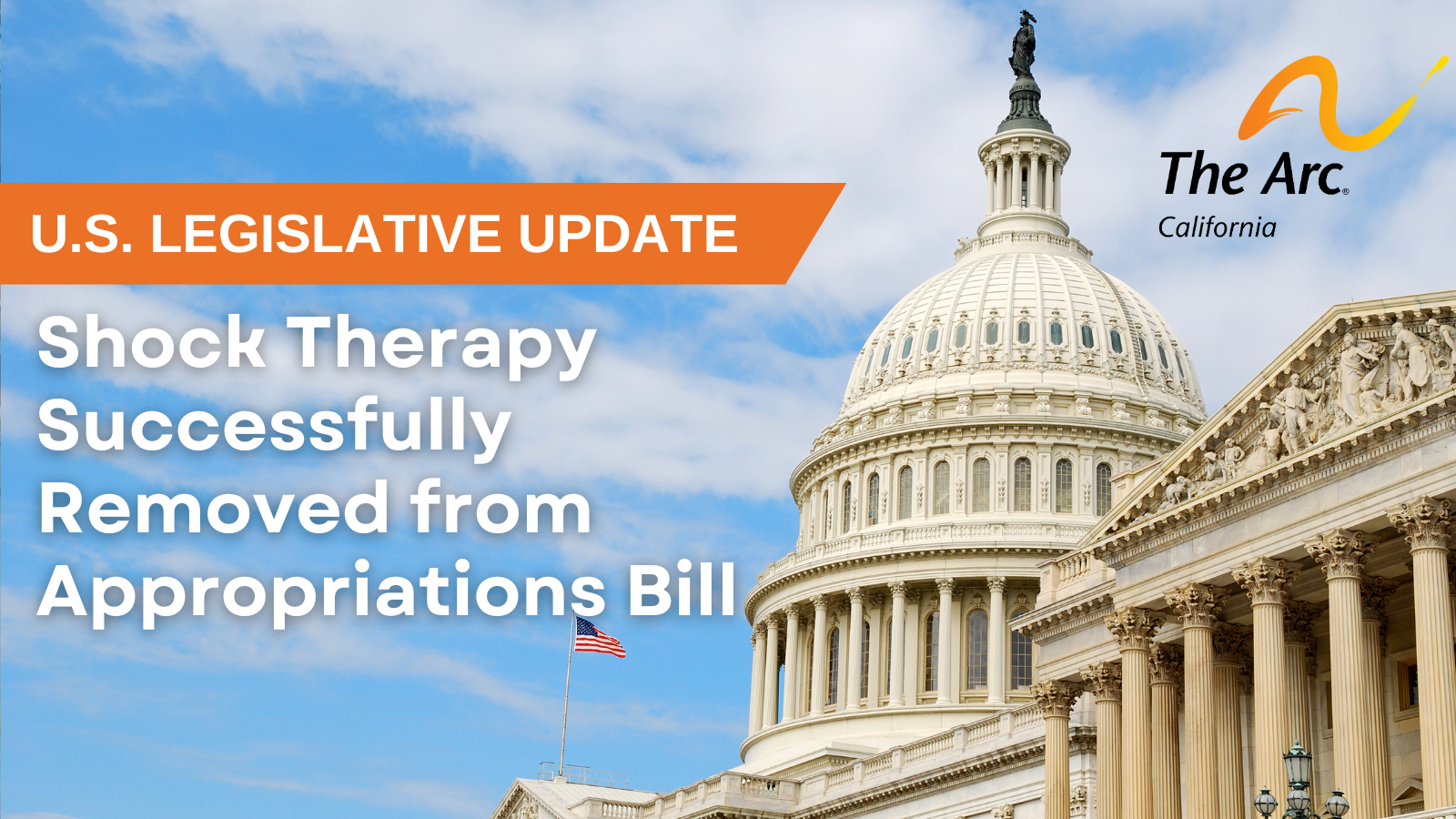 US Legislative Update: Shock Therapy Successfully Removed from Appropriations Bill